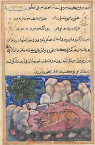 एक तोते की कहानियाँ टुटी-नाम से: पन्द्रहवीं रात: शेर चूहों से परेशान ..., 1558-1560। द्वारा अज्ञात