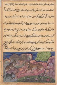 एक तोते की कहानियों से पेज टुटी-नामा: पंद्रहवीं रात: भेड़िया शेर को सलाह देता है ..., 1558-1560। द्वारा अज्ञात