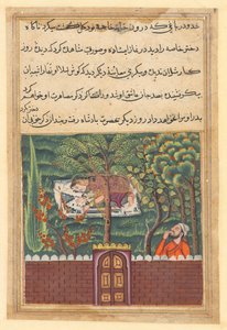 तोता-नामा के किस्से का पेज: पहली रात: पचास, एक व्यंग्यकार, देखता है ..., c1560। द्वारा अज्ञात