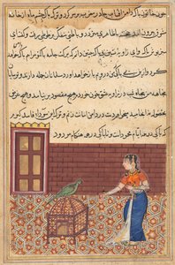 तोता-नामा के किस्से से पेज: पहली रात: तोता खुजस्ता ..., सी को संबोधित करता है। 156 द्वारा अज्ञात