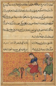एक तोते की कहानियों से पृष्ठ तुति-नामा: पचासवीं रात: सात रंगों का पक्षी, सी। 1560। द्वारा अज्ञात