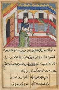एक तोते की कहानियाँ टुटी-नाम से: चालीस-दूसरी रात: तोता पत्ता ..., सी। 1560। द्वारा अज्ञात