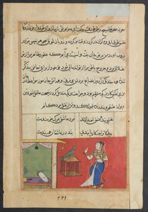 तोता-नामा के किस्से से पेज: चालीसवीं रात: तोता खुजस्ता को संबोधित करता है ... c156 द्वारा अज्ञात