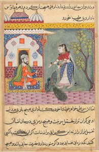 एक तोते की कहानियाँ टुटी-नाम से: उन्नीसवीं रात: ब्रह्मण पत्नी ..., सी। 1560। द्वारा अज्ञात