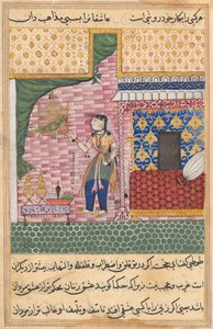 एक तोते की कहानियाँ टुटी-नाम से: सत्रहवीं रात: तोता ..., सी। 1560। द्वारा अज्ञात