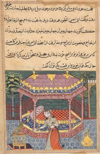 तोते की कहानियों से पृष्ठ टटी-नामा: तैंतीसवीं रात: तोता पत्ता खुजस्ता ..., सी 15 द्वारा अज्ञात