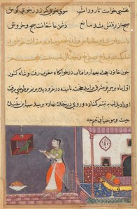 एक तोते की कहानियों से पृष्ठ टटी-नामा: पच्चीसवीं रात: तोता पत्ता खुजस्ता ..., c1560 द्वारा अज्ञात