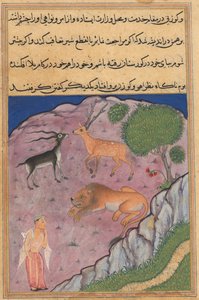 एक तोते की कहानियों से पृष्ठ टटी-नामा: इक्कीसवीं रात: ब्राह्मण ..., सी। 1560। द्वारा अज्ञात