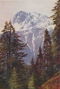 हिमालय में चोटी, 1924 द्वारा अज्ञात