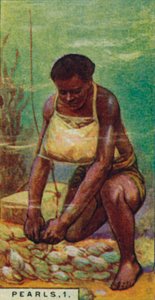 मोती 1. काम पर मूल निवासी गोताखोर, सीलोन, 1928 द्वारा अज्ञात