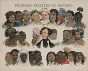 फिजियोलॉजी 'मैनकाइंड की प्रमुख किस्में', 3 मई 1850 द्वारा अज्ञात