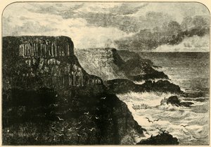 प्लिसकिन हेड, एरिक, 1898। द्वारा अज्ञात