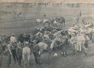 प्लमर्स हॉर्स, c1900। द्वारा अज्ञात