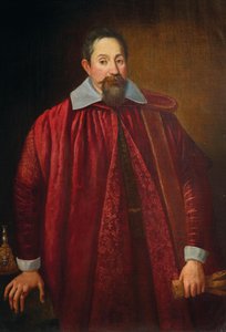 फ्लोरेंटाइन सीनेटर के रूप में जैकोपो पिट्टी 1519-1589 का पोर्ट्रेट, 16वीं शताब्दी का अंत। द्वारा अज्ञात