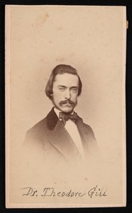 थियोडोर निकोलस गिल का पोर्ट्रेट 1837-1914, लगभग 1860। द्वारा अज्ञात