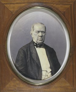 कवि प्रिंस प्योत्र ए। व्येज़ेमस्की का चित्रांकन 1792-1878, 1860-1870 के दशक द्वारा अज्ञात