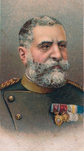 रेडोमिर पुटनिक 1847-1917, सर्बियाई फील्ड मार्शल, 1917 द्वारा अज्ञात