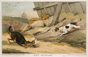 चूहा शिकार, 1823 द्वारा अज्ञात