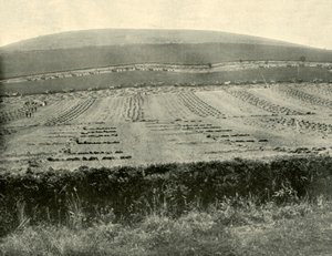 रोटर, 1901 के पास, रीपर एंड बाइंडर प्रतियोगिता, माउंट ब्लोहर। द्वारा अज्ञात