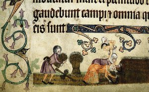 Luttrell Psalter, 1330 से शेप काटना और बांधना द्वारा अज्ञात