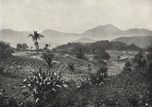 टेरासेन में यात्रा क्षेत्र 1926 में बीता द्वारा अज्ञात