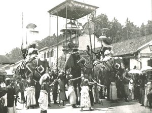 धार्मिक जुलूस, कोलंबो, सीलोन, 1895। द्वारा अज्ञात