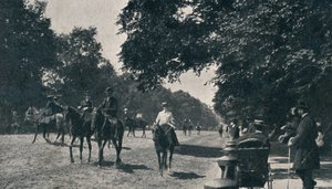 रोटेन रो, हाइड पार्क, c1900 द्वारा अज्ञात