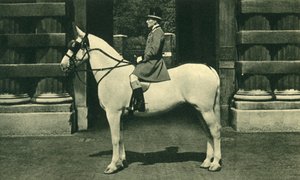 1950 के दशक में स्कार्लेट लिवेरी में रॉयल आउटसाइडर। द्वारा अज्ञात