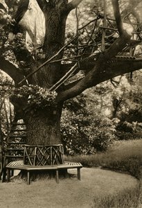 ग्राम्य उपचार। - समर हाउस इन ए ट्री, एक आदर्श टी हाउस, 1920। द्वारा अज्ञात