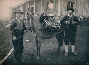 पैक-हॉर्स, 1914 के साथ साएर्सडेलन हाइलैंडर्स। द्वारा अज्ञात