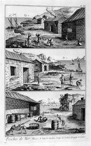साल्टिंग, धुलाई, पैकिंग सार्डिन, 1751-1777 द्वारा अज्ञात