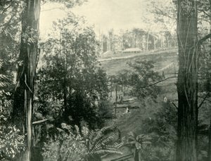 ऊपरी गेम्ब्रोक में दृश्य, विक्टोरिया, 1901। द्वारा अज्ञात