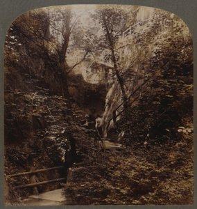विश्व-व्यापी प्रसिद्धि के शंकलिन चाइन, आइल ऑफ वाइट, इंग्लैंड, c1910। द्वारा अज्ञात
