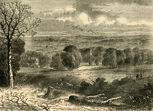 1852 में क्रिस्टल पैलेस की साइट, c1878। द्वारा अज्ञात