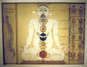 मानव शरीर, तंजौर, तमिलनाडु, c1850 के प्लेक्सस का प्रतिनिधित्व करने वाले छह चक्र द्वारा अज्ञात