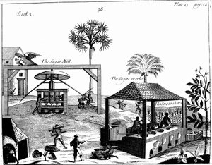 वेस्ट इंडीज, 1725 में एक चीनी बागान पर दास श्रम द्वारा अज्ञात