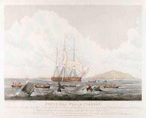 साउथ सी व्हेल फिशरी, 1825 द्वारा अज्ञात