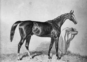 सेंट एल्बंस, c19 वीं शताब्दी, 1911 द्वारा अज्ञात