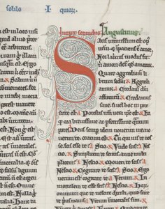 Hippo &39;Opera&39; की St Augustine, Fol 151 verso, detail, c.1200 (चर्मपत्र पर कलम और स्याही) द्वारा अज्ञात
