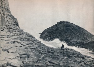 स्टाफ़ - द हर्ड्समैन, 1895 द्वारा अज्ञात