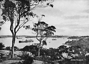 Cremorne प्वाइंट से सिडनी हार्बर, c1900। द्वारा अज्ञात