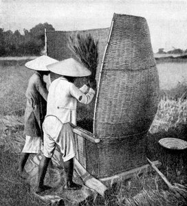 चावल, अन्नम और वियतनाम के अन्नमेसन का तरीका, 1922 द्वारा अज्ञात