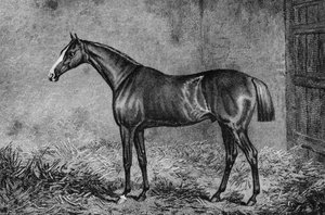 कर्नल, 1825-1847, 1911 द्वारा अज्ञात