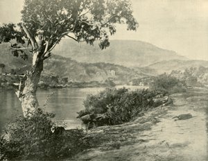 द नर्वंट एट न्यू नोरफ़ोक, 1901। द्वारा अज्ञात