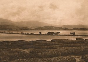 1902 में यनिस पर डोवी द्वारा अज्ञात