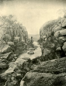 द जॉर्ज, बफ़ेलो फॉल्स, विक्टोरियन एल्प्स, 1901। द्वारा अज्ञात