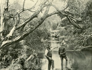 द लॉन्चिंग प्लेस, अपर यारा, विक्टोरिया, 1901। द्वारा अज्ञात