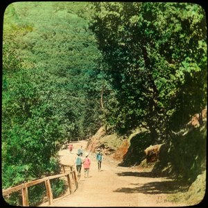 माल रोड, शिमला, भारत, 19 वीं सदी के अंत या 20 वीं सदी की शुरुआत में द्वारा अज्ञात