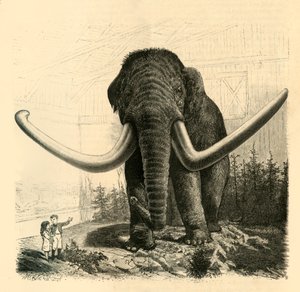 द मैमथ ऑफ सेंट पीटर्सबर्ग, 1883। द्वारा अज्ञात