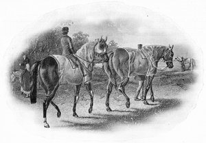 द नेक्स्ट रेस, 19 वीं सदी, 1911 द्वारा अज्ञात
